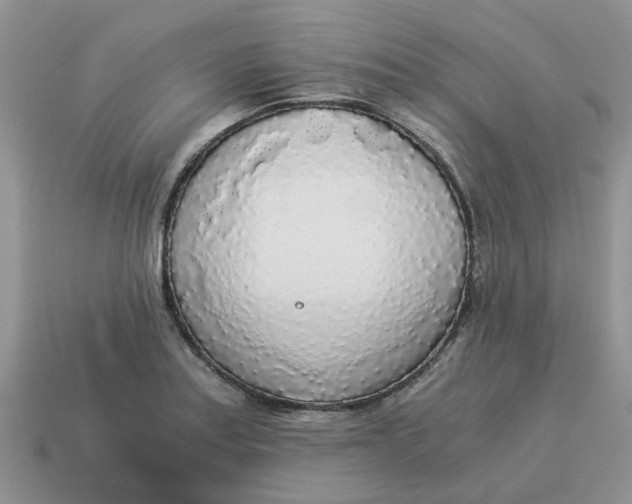 X0000114501179200911091103