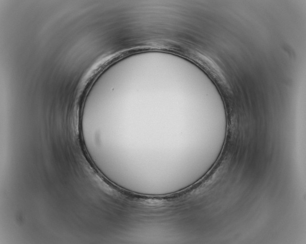 X0000114501180200911091103