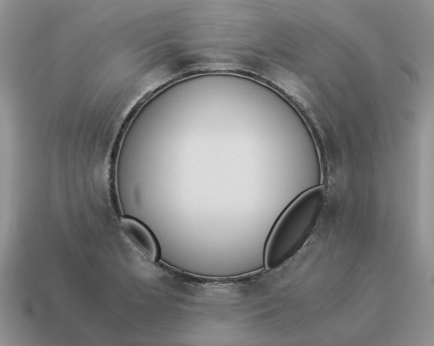 X0000114501181200911091103