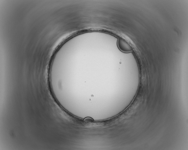 X0000114501183200911091103