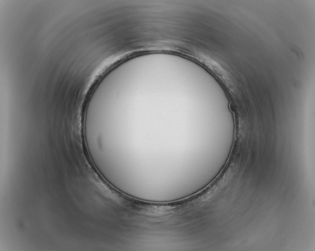 X0000114501184200911091103