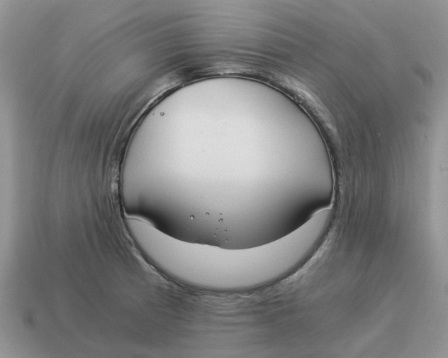 X0000114501185200911091103