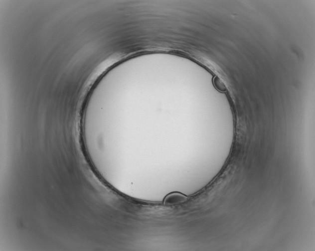 X0000114501187200911091103