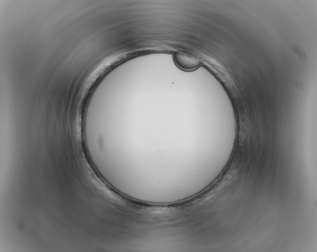 X0000114501188200911091103