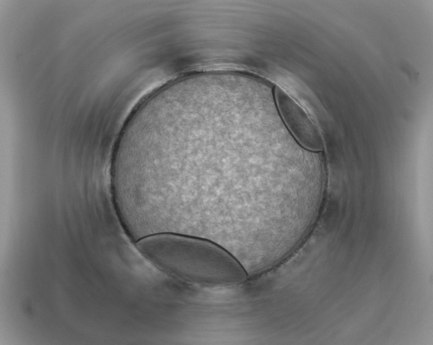 X0000114501189200911091103