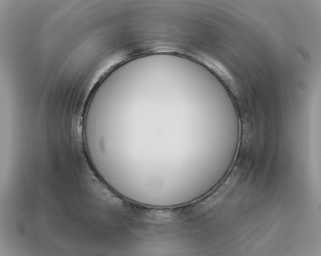 X0000114501190200911091103