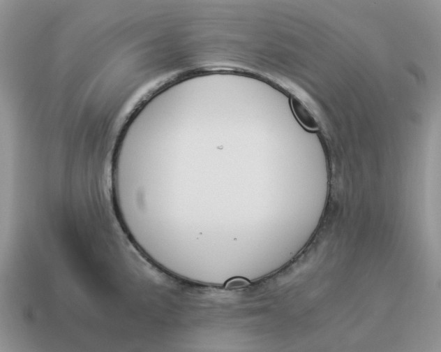 X0000114501191200911091103
