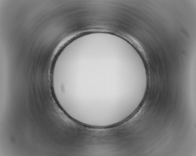 X0000114501192200911091103