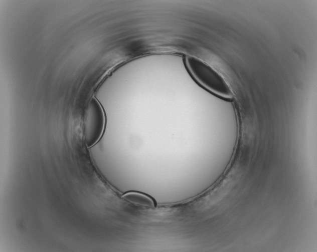 X0000114501193200911091103