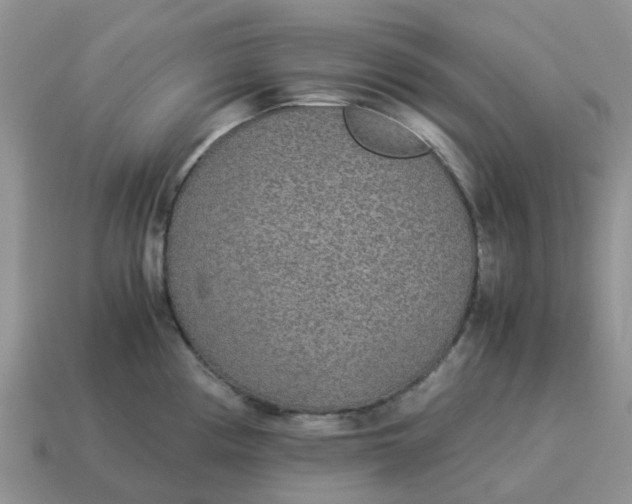 X0000114501194200911091103