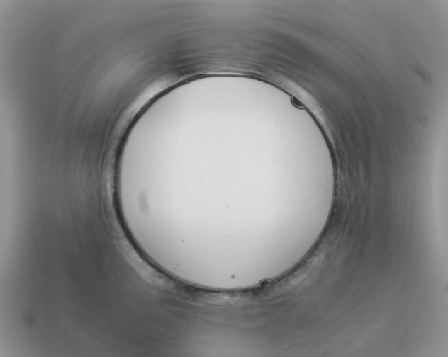 X0000114501195200911091103