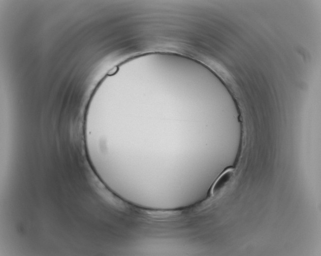 X0000114501200200911091103