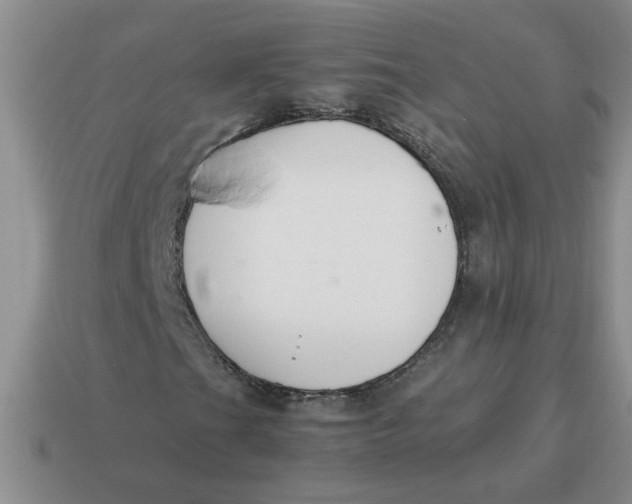 X0000114501201200911091102