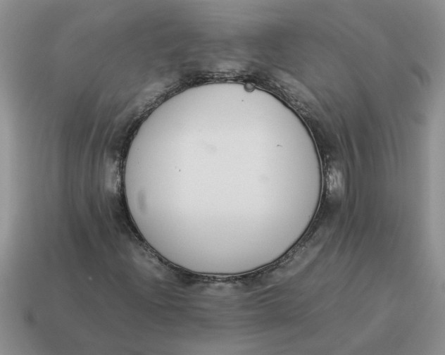 X0000114501204200911091102