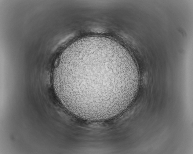 X0000114501205200911091102