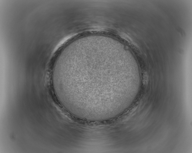X0000114501208200911091103