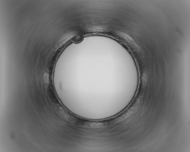 X0000114501209200911091103