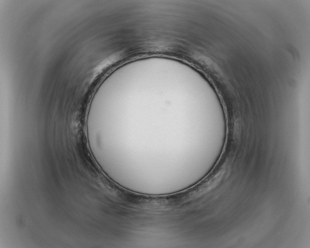 X0000114501210200911091103