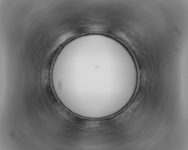 X0000114501211200911091103