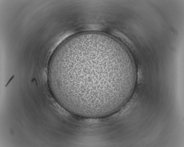 X0000114501212200911091103