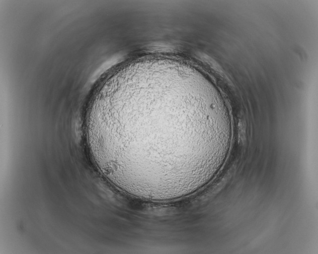 X0000114501213200911091103