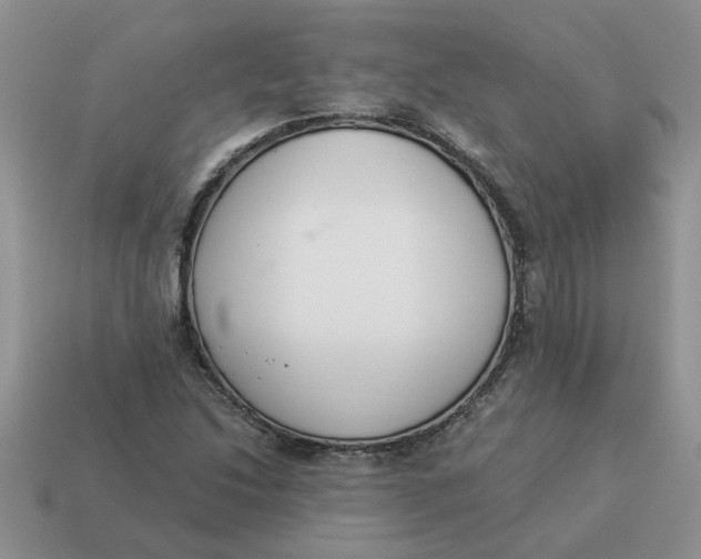 X0000114501214200911091103