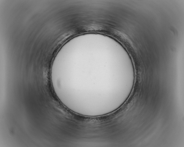 X0000114501217200911091103