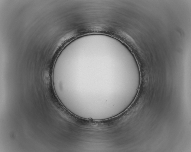 X0000114501218200911091103