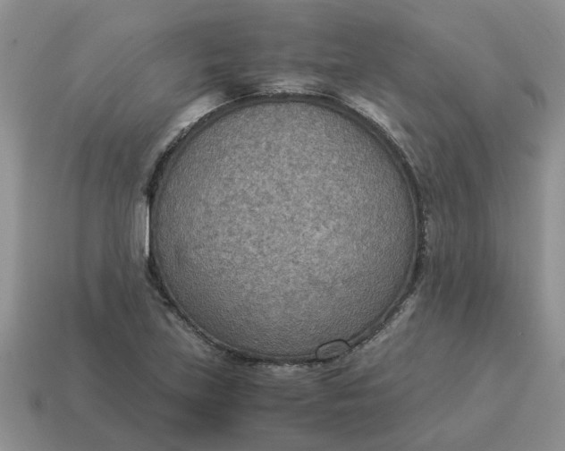 X0000114501219200911091103