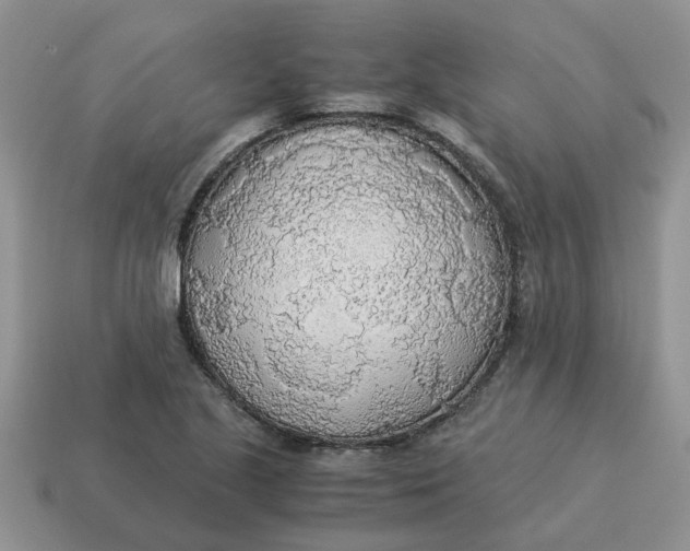X0000114501221200911091103