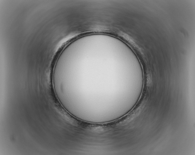 X0000114501222200911091103