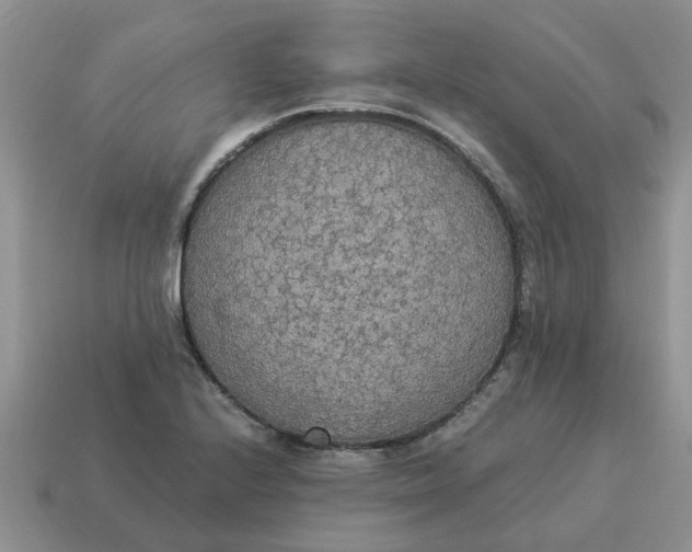 X0000114501224200911091103