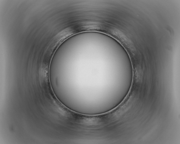 X0000114501225200911091103