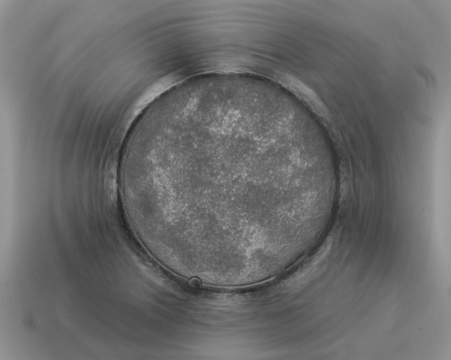 X0000114501226200911091103