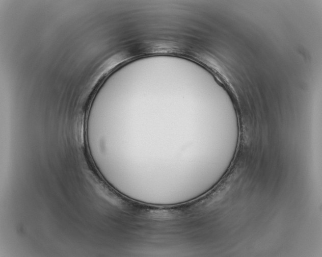 X0000114501227200911091103