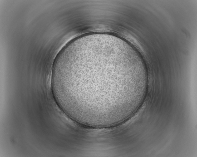 X0000114501228200911091103