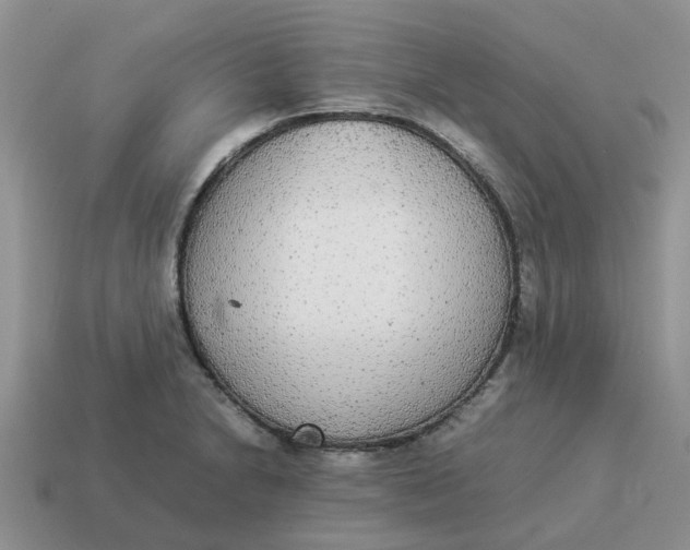 X0000114501230200911091103