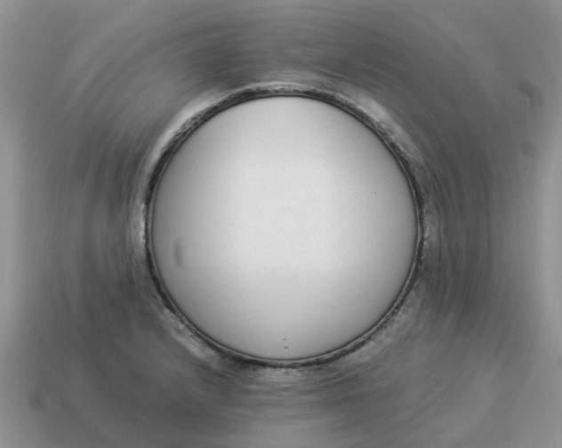 X0000114501232200911091103