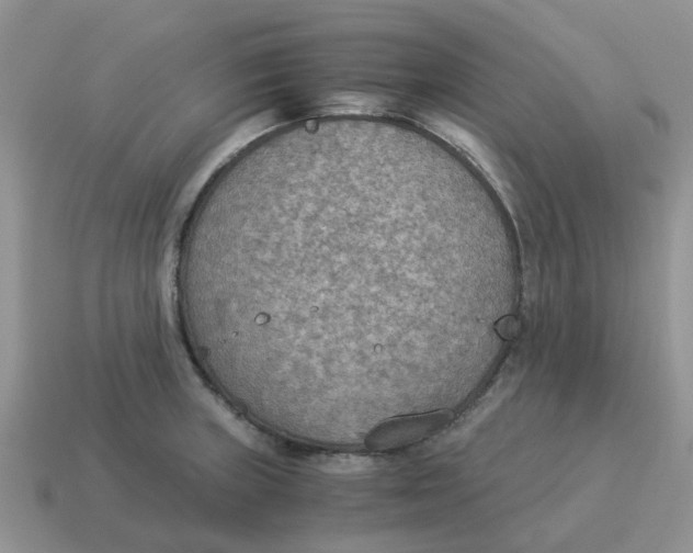 X0000114501235200911091103
