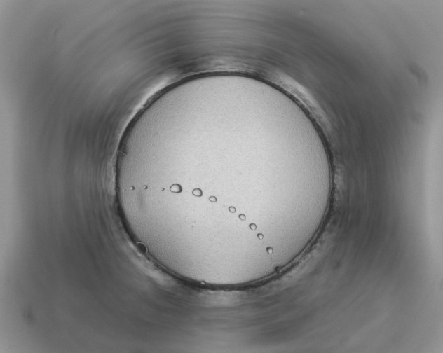 X0000114501236200911091103