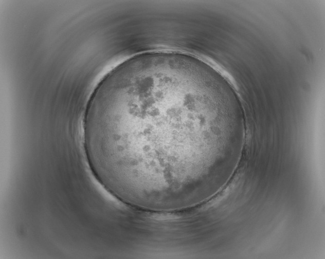 X0000114501239200911091103