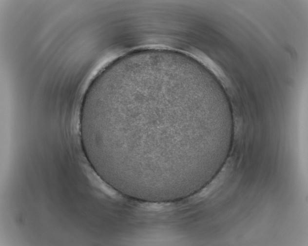 X0000114501240200911091103
