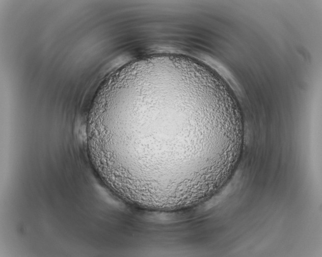 X0000114501241200911091103