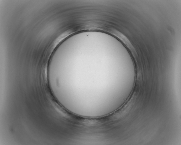 X0000114501242200911091103