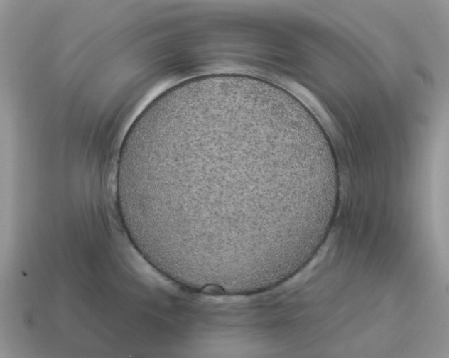 X0000114501244200911091103