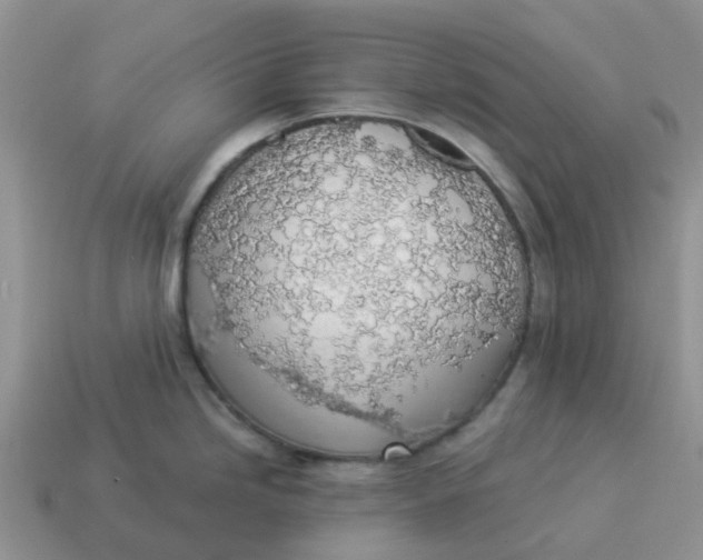 X0000114501246200911091103