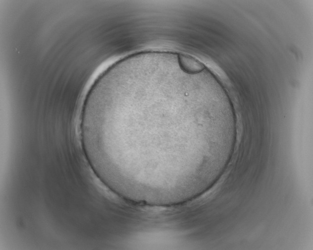 X0000114501248200911091103