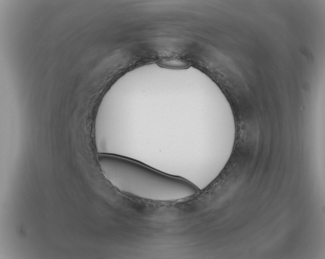 X0000114501249200911091102