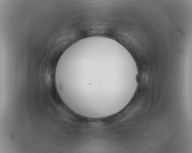 X0000114501250200911091102