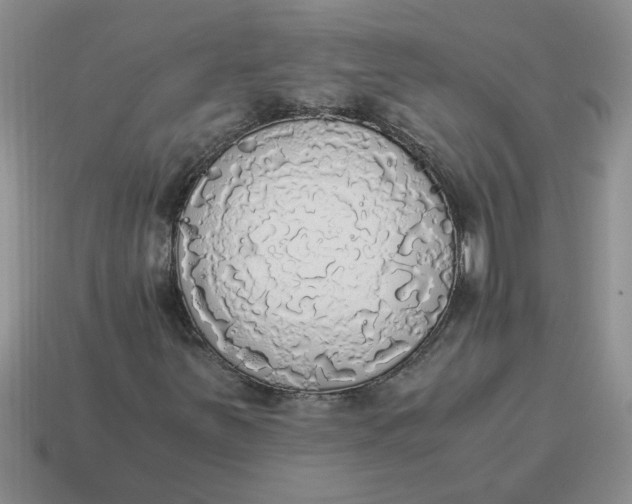 X0000114501251200911091102